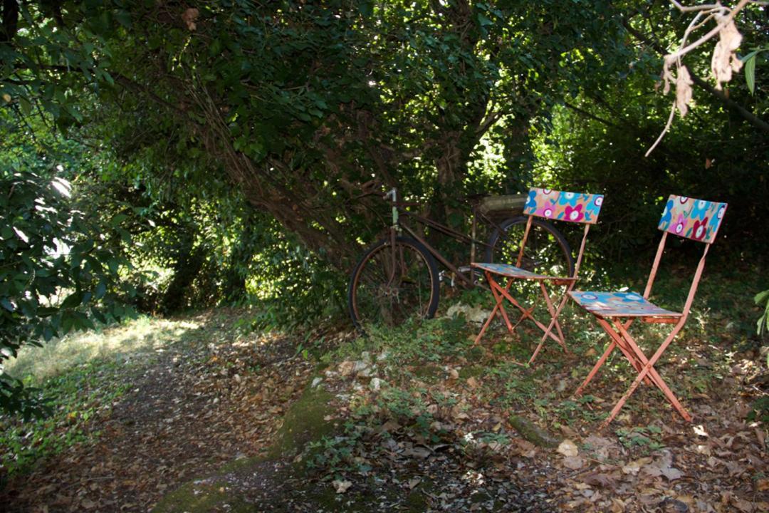 Bed and Breakfast La Charentine Echillais Zewnętrze zdjęcie